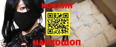 гашик Волжский