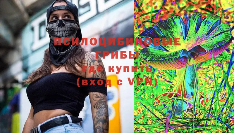 Галлюциногенные грибы Psilocybine cubensis  Донецк 