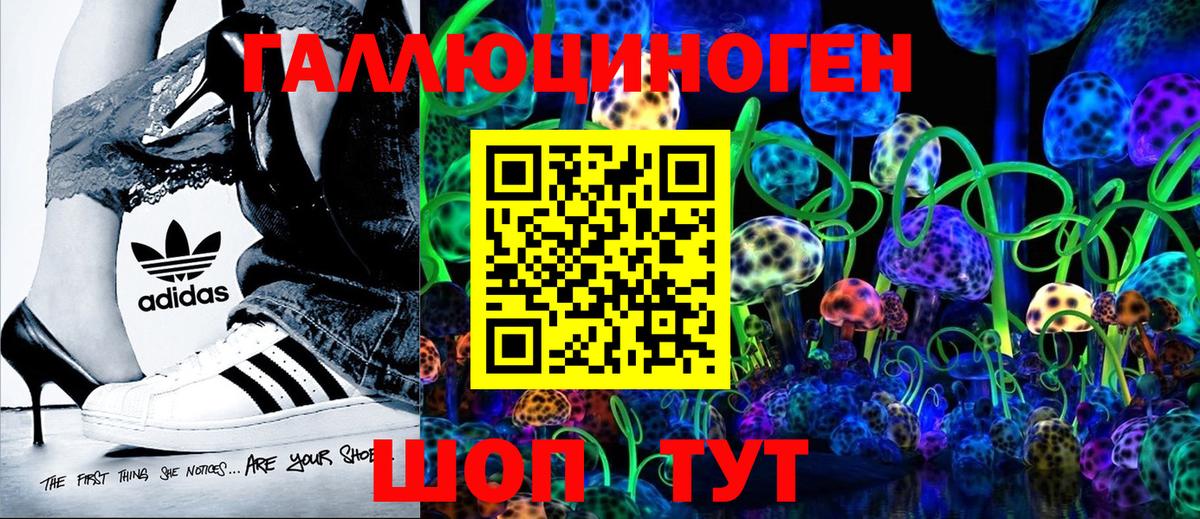 Псилоцибиновые грибы Psilocybe  Донецк  магазин    Галлюциногенные грибы MAGIC MUSHROOMS 