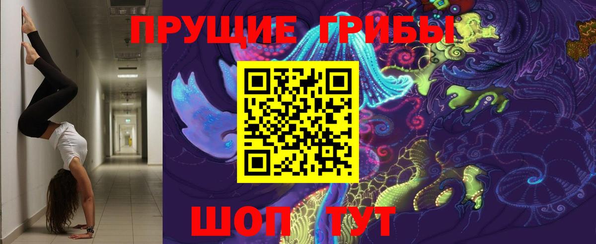 Галлюциногенные грибы Psilocybine cubensis  Псилоцибиновые грибы Psilocybe  Донецк  Вход с VPN 